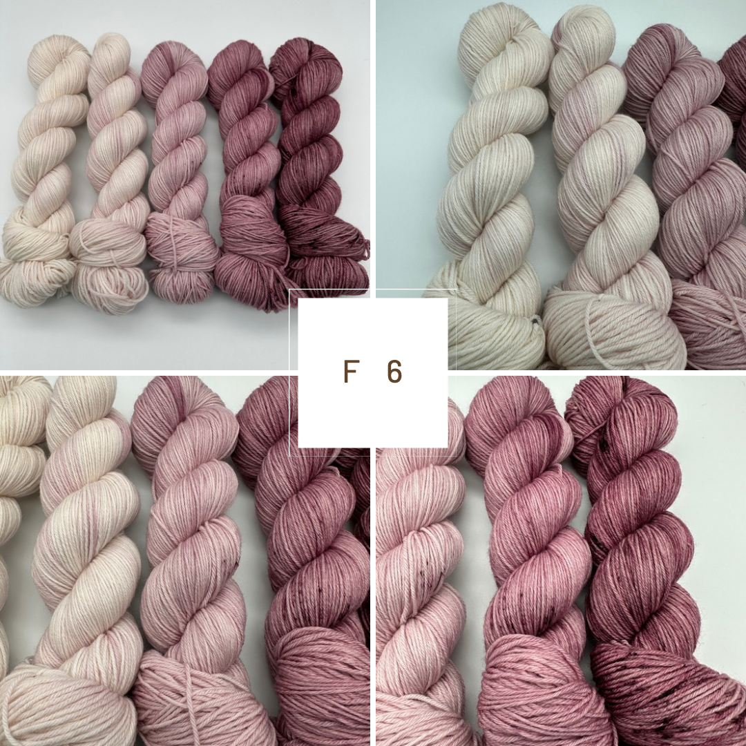 Fade Set, handgefärbte Wolle, 4-fach, 5 Stränge je 100g, F6