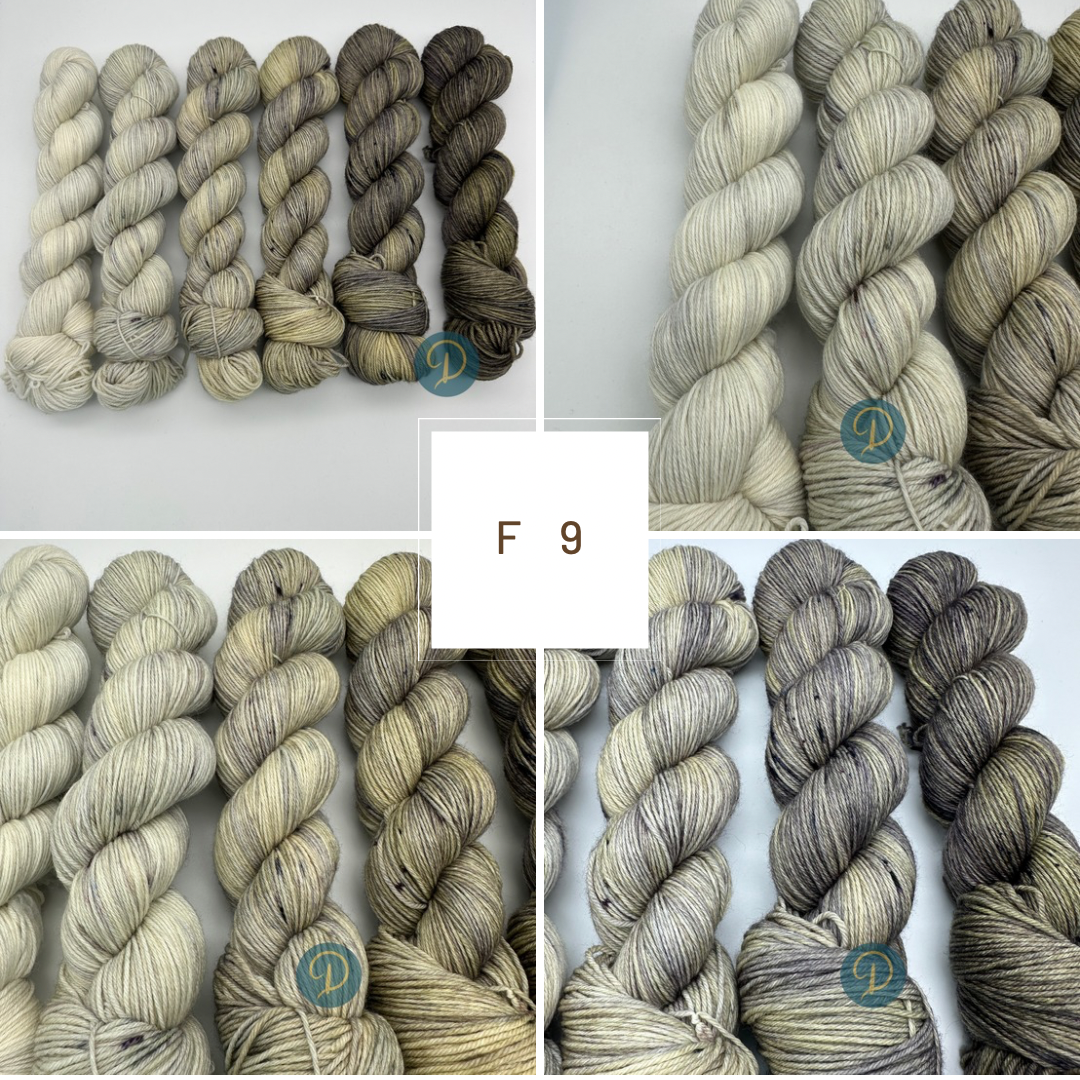 Fade Set 4-fach, handgefärbte Wolle, 6 Stränge x 100g, Nr. F9