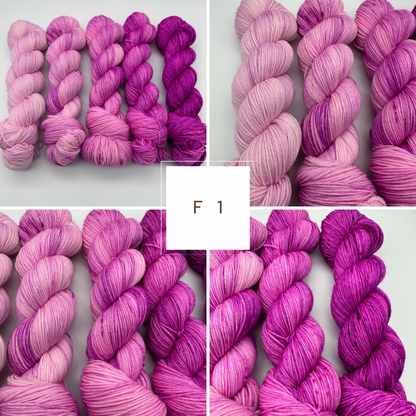 Fade Set "Beerentraum" 4-fach, 5 Stränge je 100g, F1