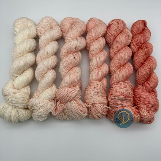 Fade Set 4-fach, handgefärbte Wolle, 6 Stränge x 100g, Nr. F7
