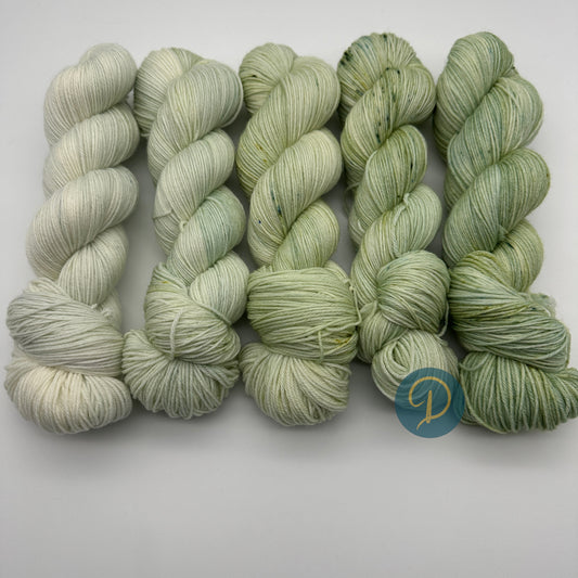 Fade Set "Frühlingsbeginn" 4-fach, 5 Stränge je 100g, Nr. F4